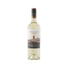 Morandé	Pionero Sauvignon Blanc
