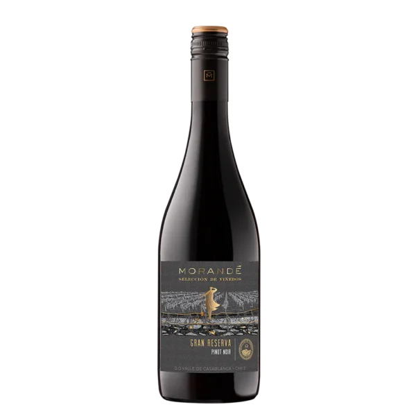 Morandé	Pinot Noir Gran Reserva Selección de Viñedos